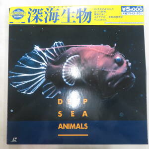 B00178785/●LD1枚組ボックス/「深海生物/地球カタログ」