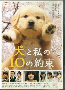 犬と私の10の約束 [プレミアムエディション] (2枚組) [DVD]