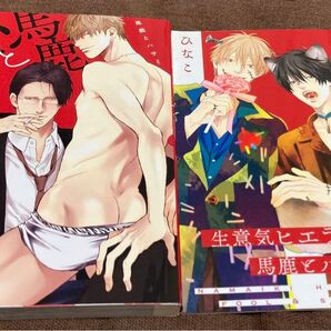 小冊子付き 初回限定版「馬鹿とハサミ」ひなこ