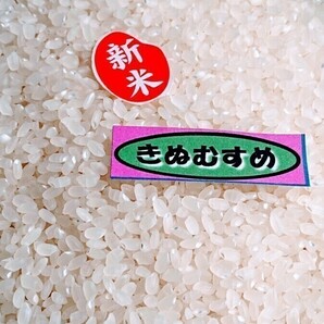 ◆令和５年産◆ きぬむすめ１等 精米２０kg の画像1