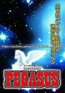 ※大判機種紹介カタログ（パンフレット）のみ テクノコーシン パチスロ【デートラインペガサス（2002年）】