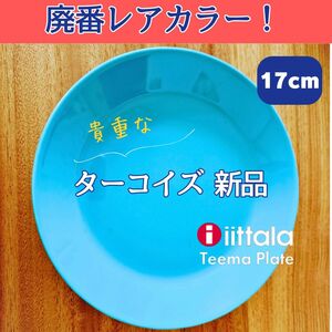 【廃番レアカラー！】新品　イッタラ　ティーマ　ターコイズ　17センチ　A