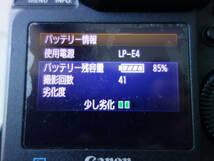 動作しました プロ用 デジタル一眼レフカメラ EOS-1D MarkIV Mark4 (Canon キヤノン) 秒間10コマ連写 フルHD動画 LP-E4_画像10