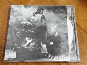 (2CD) Phish●フィッシュ / Quadrophenia Shout To The Top