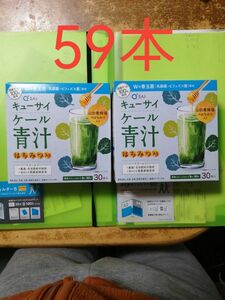 ケール青汁 はちみつ入り プラス善玉菌 59本