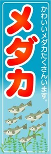 最短当日出荷　のぼり旗　送料185円から　bo2-nobori6558　メダカ　かわいいメダカたくさんいます。　めだか