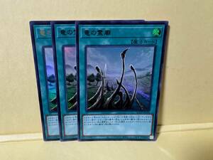 3-диск QCCP-JP194 Dragon Mausoleum [ur Ultra Rare] Yu-Gi-OH