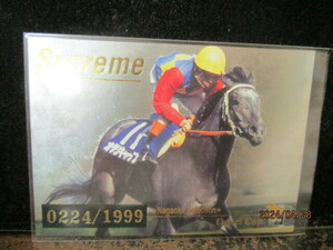 * horse racing card o Gris cap 1999 Bandai Thoroughbred Card 99 year on half period S2 0224/1999