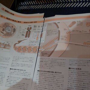 【裁断済】新訂 目でみるからだのメカニズム 医学書院 一般医学の画像3