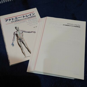 【裁断済】アナトミー・トレイン 徒手運動療法のための筋筋膜経線 柔道整復 理学療法 AK 