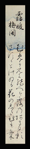 <C191439>[ genuine work ] first generation Yamamoto spring regular ( boat tree ) autograph Waka tanzaku [.. plum .] Edo era the first period. lacqering .* ground under . person * Japanese literature person 