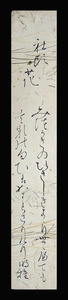 <D30152>[ genuine work ]. island bamboo .( Akira .) autograph Waka tanzaku [ company head flower ] curtain end - Meiji era. Shinto house .... minute place length 