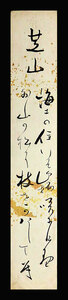 <C190988>[ genuine work ] Fukuda line . autograph Waka tanzaku | curtain end - Meiji era. . increase on temple law ....... earth . tube length 