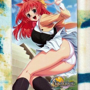 (A39-1) テリオス Chanter シャンテ パンチラ美女 テレカの画像1