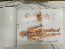 Ffg_01A_0465_ 人体解剖学図譜集_画像7
