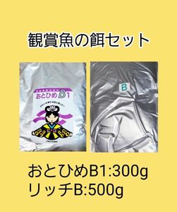 観賞魚餌 使い比べセット おとひめB1 300g リッチB 500g 日清丸紅飼料 めだか グッピー らんちゅう稚魚