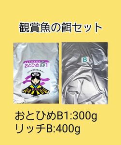 観賞魚餌 使い比べセット おとひめB1 300g リッチB 400g 日清丸紅飼料 めだか グッピー らんちゅう稚魚