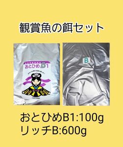 観賞魚餌 使い比べセット おとひめB1 100g リッチB 600g 日清丸紅飼料 めだか グッピー らんちゅう稚魚