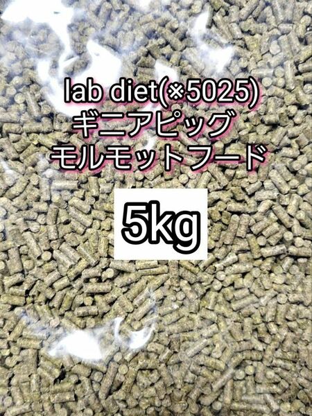 ギニアピッグ ラブダイエット 5025 モルモットフード 5kg lab diet デグー チンチラ モルモット 小動物