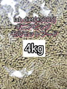 ギニアピッグ ラブダイエット 5025 モルモットフード 4kg lab diet デグー チンチラ モルモット 小動物