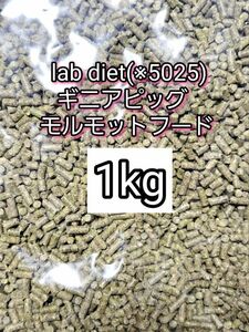 ギニアピッグ ラブダイエット 5025 モルモットフード 1kg lab diet デグー チンチラ モルモット 小動物