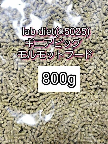 ギニアピッグ ラブダイエット 5025 モルモットフード 800g lab diet デグー チンチラ モルモット 小動物