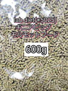 giniapi glove diet 5025morumoto hood 600g lab dietteg- chinchilla morumoto small animals 