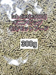 ギニアピッグ ラブダイエット 5025 モルモットフード 300g lab diet デグー チンチラ モルモット 小動物