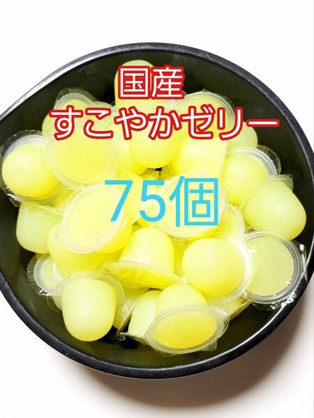 【送料無料】 国産 すこやかゼリー16g 75個 KBファーム 昆虫ゼリー カブトムシ クワガタ ハムスター等 小動物