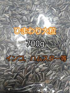 ひまわりの種 大粒 700g ひまわりの種 鳥の餌 小動物の餌 オウム インコ ハムスター