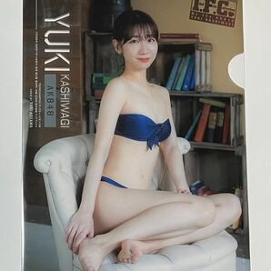 柏木由紀 ヤングチャンピオン クリアファイル&両面ポスター付き 雑誌 QUOカードの画像3