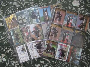 *[mejirolamo-n]. card 23 sheets ( Bandai Sara ka memorial . selection present 3 kind equipped )