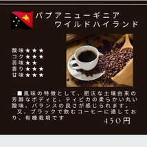 自家焙煎屋　珈琲豆　coffee　パプアニューギニア　ワイルドハイランド有機栽培　300g_画像1