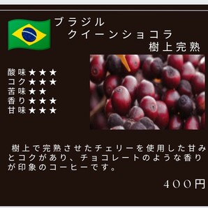 自家焙煎屋　珈琲豆　coffee　ブラジル　クイーンショコラ　 300g