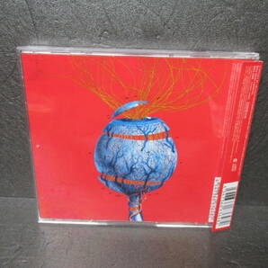 SPECIALZ (通常盤) / King Gnu [CD]  4/2506の画像3