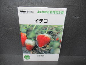 イチゴ (NHK趣味の園芸 よくわかる栽培12か月) / 矢部和則　　4/25536