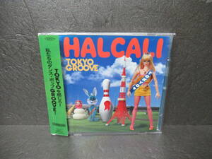 TOKYO GROOVE [CD] HALCALI　　4/26510