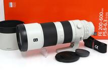 並品｜ソニー FE 200-600mm F5.6-6.3 G OSS SEL200600G CA01-A7603-2Q5 フルサイズ 望遠ズーム レンズ 超望遠 Eマウント アルファ_画像1