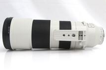 並品｜ソニー FE 200-600mm F5.6-6.3 G OSS SEL200600G CA01-A7603-2Q5 フルサイズ 望遠ズーム レンズ 超望遠 Eマウント アルファ_画像4