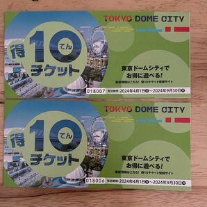 最新！東京ドームシティ 得10チケット　2冊　20ポイント