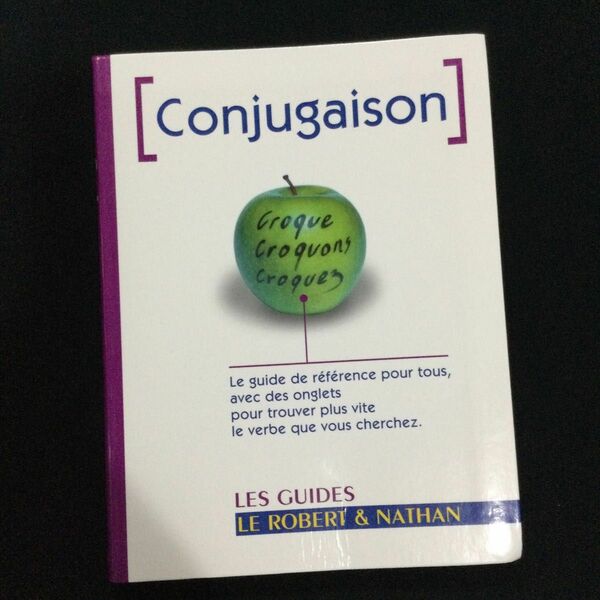 フランス語　動詞活用表　文法　グラマー　Conjugaison 洋書　辞書　語学　Grammaire 