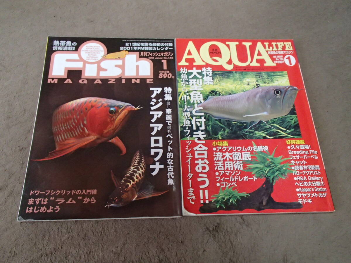 【2025年】お歳暮ギフト 2025年最新】Yahoo!オークション -アロワナ本(観賞魚)の中古品 趣味