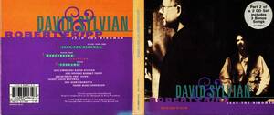 デヴィッドシルビアン　ロバートフリップ　JEAN THE BIRDMAN Part2 of 2 CD Set ボーナス3曲　クリックポスト可能