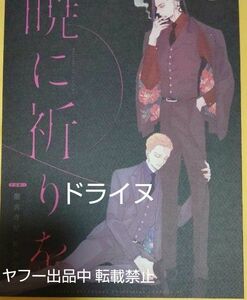 東リベ 同人誌 ドライヌ 乾受 GGG カシス かしわ 東京リベンジャーズ 幹部軸 BL DOUJINSHI 東京リベンジャーズ