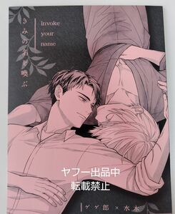 即決 鬼太郎誕生 ゲゲゲの謎 同人誌 父水 DAYTRI ハルオ Ａ５ 36p ゲ謎 DOUJINSHI BL