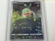 ポケットモンスター ポケモン ポケカ ナエトル 206/172SR PSA10 鑑定済 カード 爆安 99円スタート_画像4