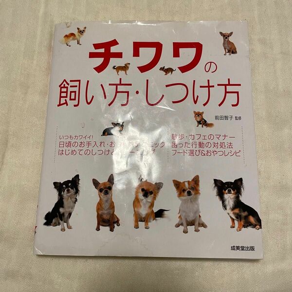 チワワの飼い方・しつけ方 前田智子／監修