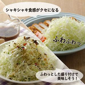 下村企販 スライサー 千切り 野菜 【日本製】 スマート キャベツ 1mm スライス 安全ホルダー付き とんかつ屋さん 35098 燕三条の画像6