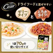 シーザー パウチ 成犬用 蒸しささみ チーズ・野菜入り 70g×16個 (まとめ買い) [ドッグフード・ウェット]_画像5