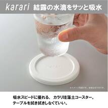 アネスティ 珪藻土 コースター 白 縦9.8×横8.5×厚さ0.6cm Karari 六角形 ヘキサゴン ボタニカル 花柄 吸水 速乾 調湿 H_画像4